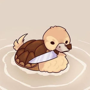 Meet your Posher, Zoe